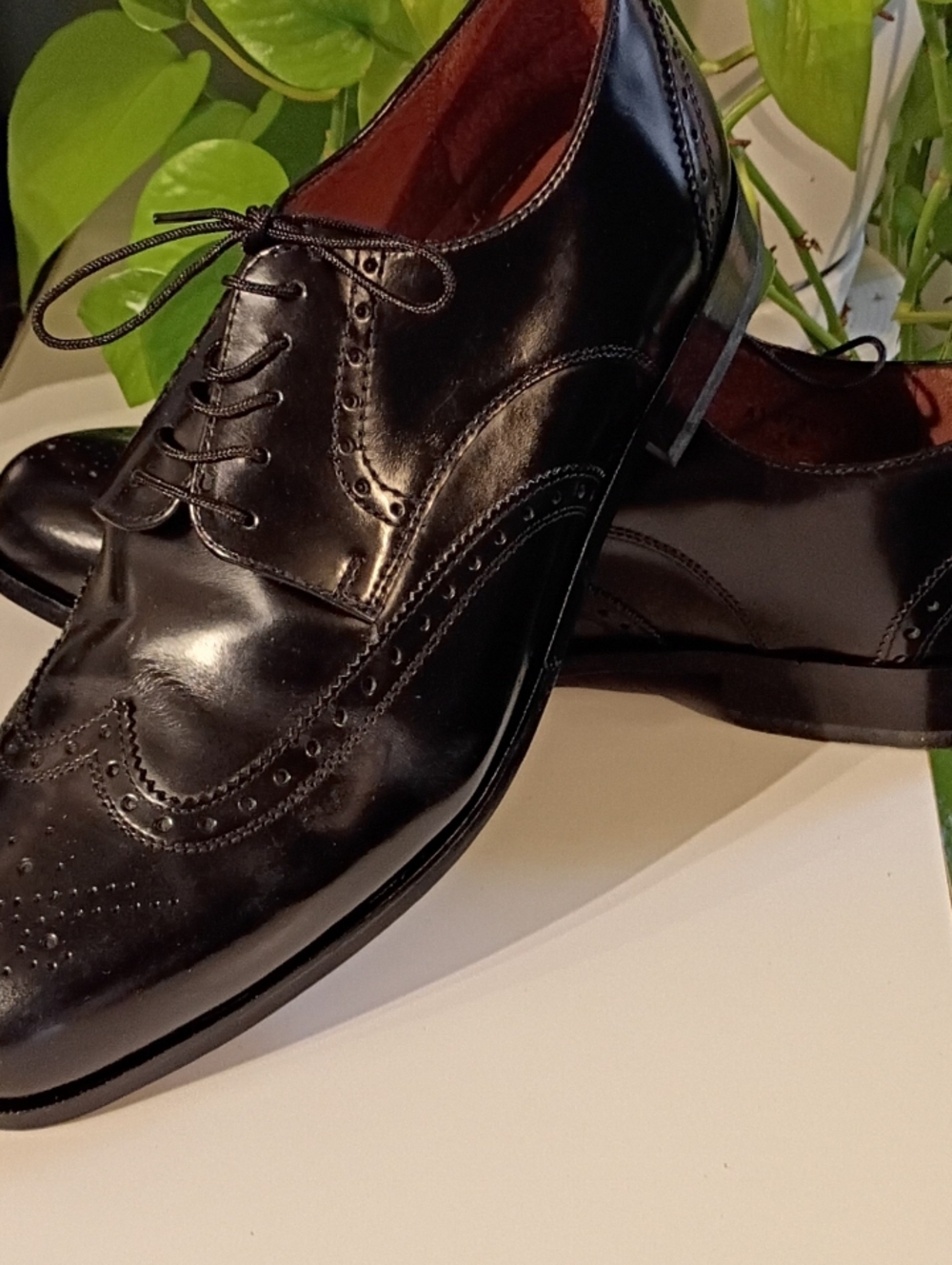 Classic Black Leather Wingtip Oxford Shoes - Men